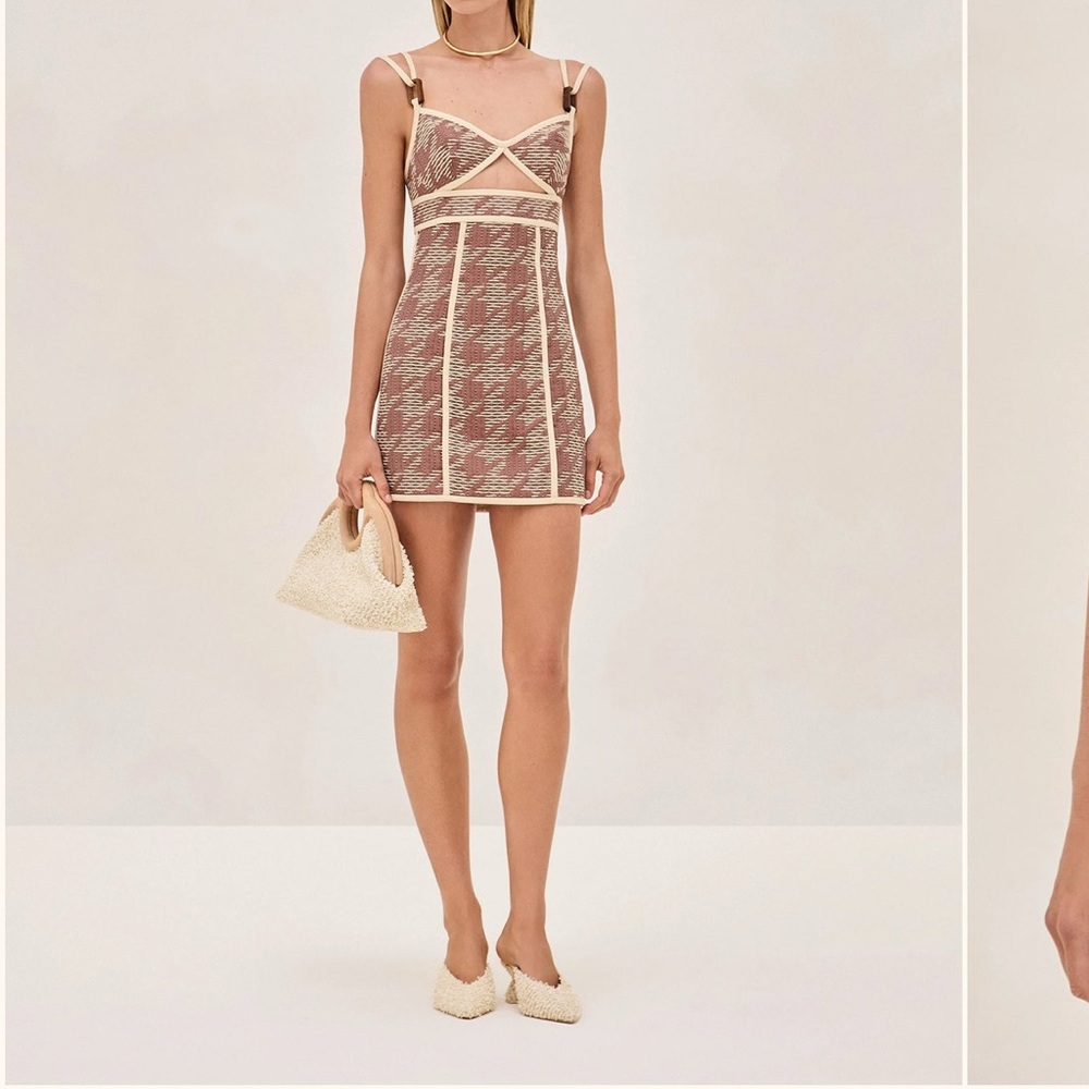 Alexis Maline Dress in checkered